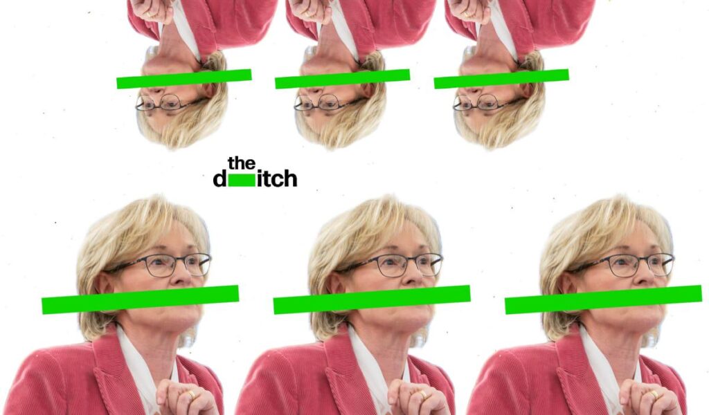 Fine Gael-Präsidentschaftskandidat ist mehrfacher Vermieter