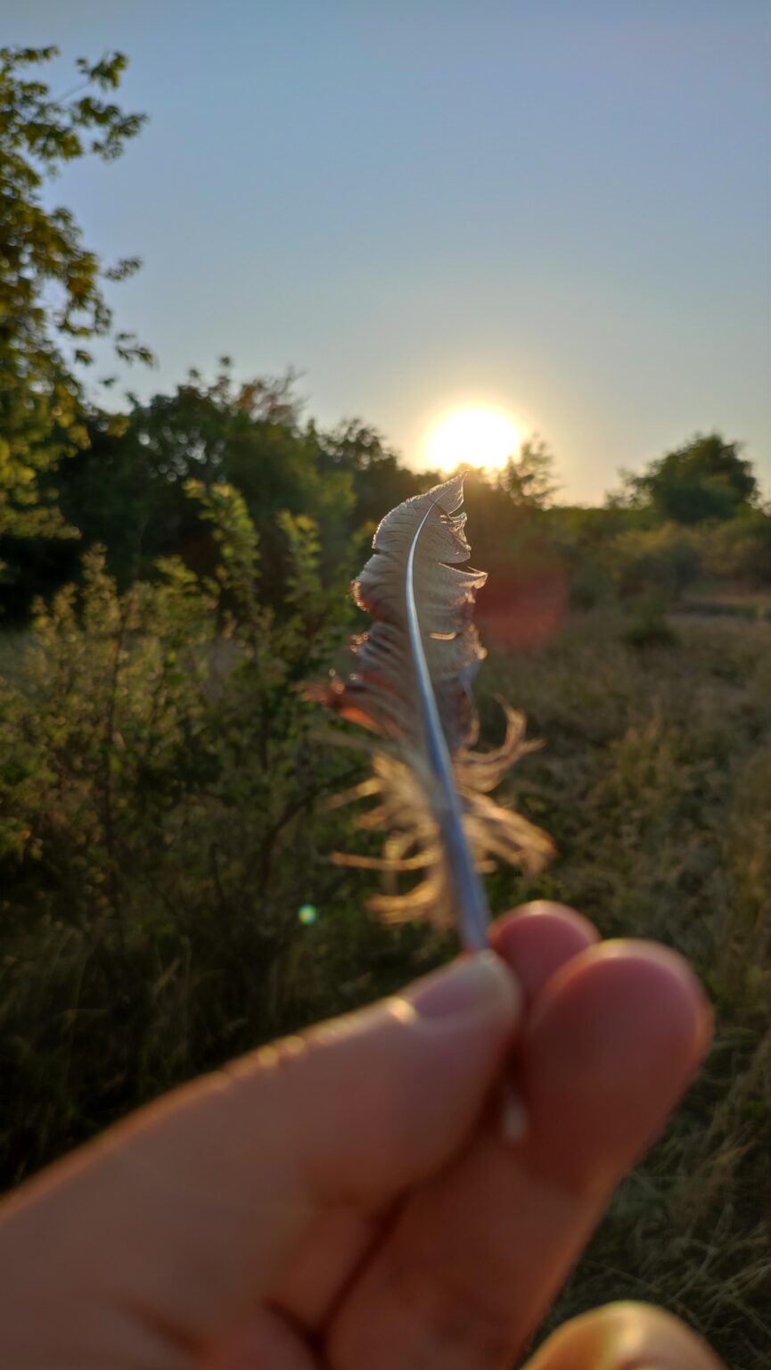 Abendspaziergang durch die Steppen✨