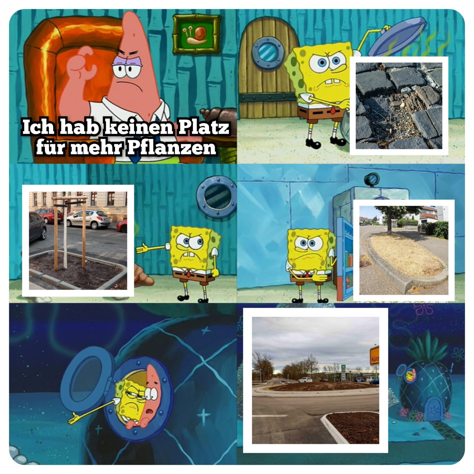 Du könntest deine Stadt grüner machen 🌱