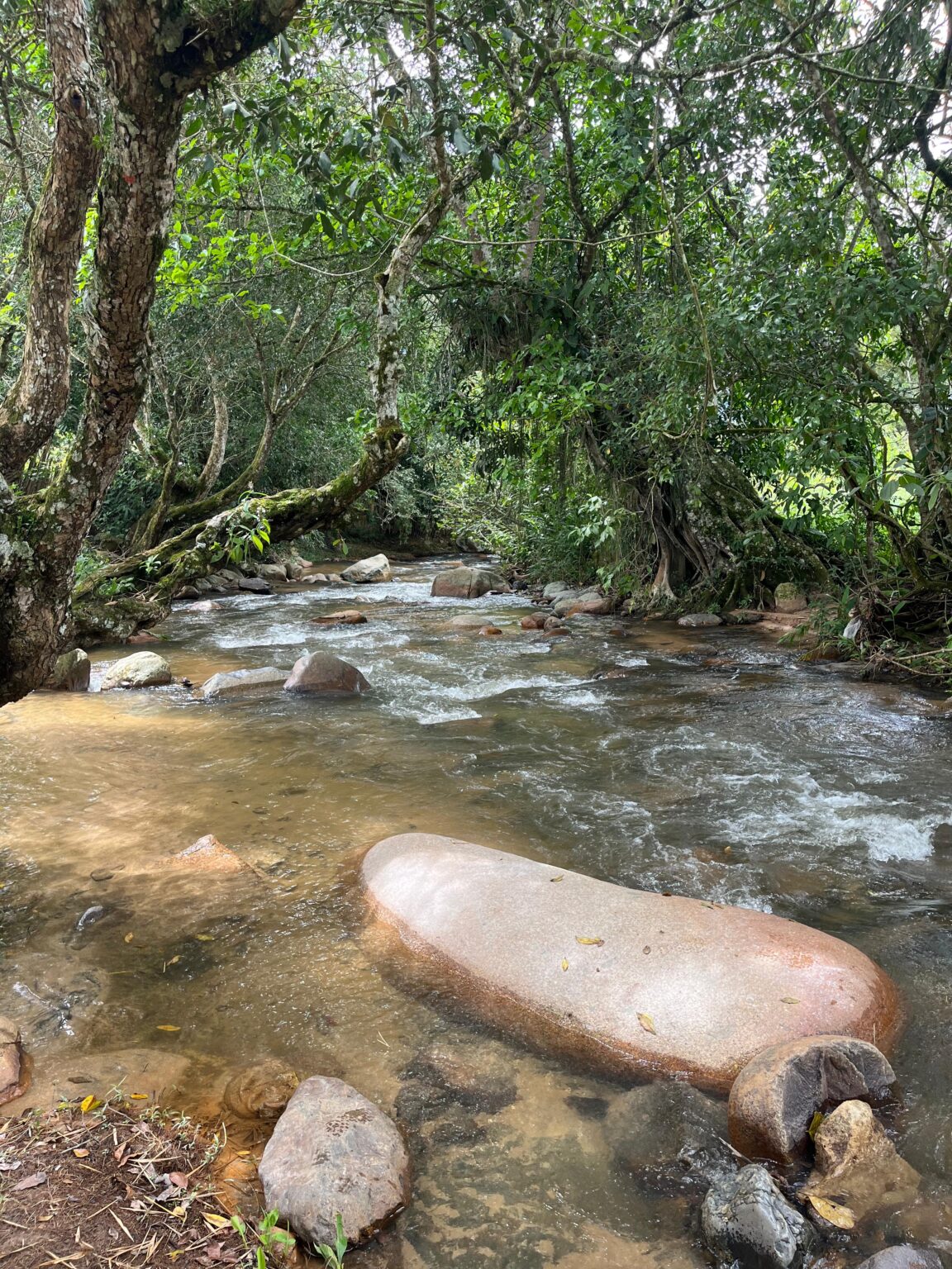 Nichts als mit dem Geräusch des Flusses aufzuwachen. Kolumbien, du bist Magie 🌊💚