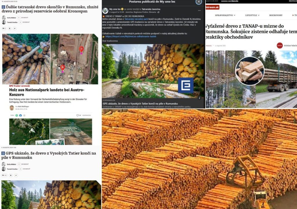 Europäischer Skandal: Fabriken von Schweighofer und Kronospan in Rumänien haben Holz aus Nationalparks gefangen! - Reinigen Sie Rumänien