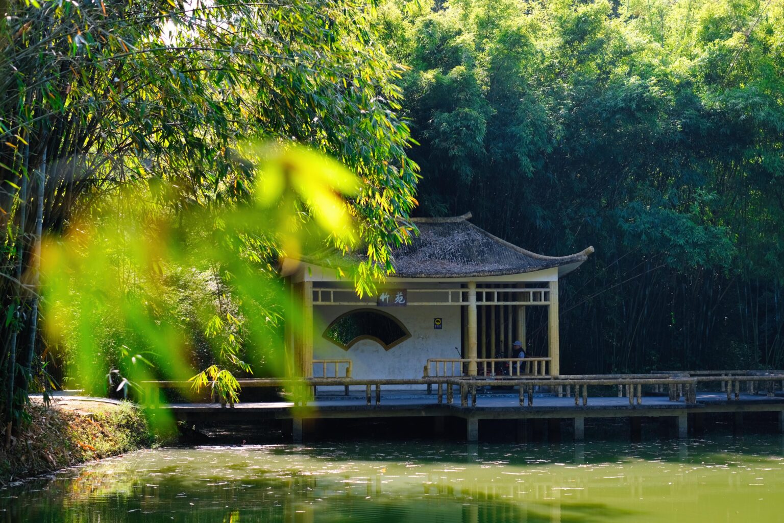 Botanischer Garten in Guangzhou City, China
