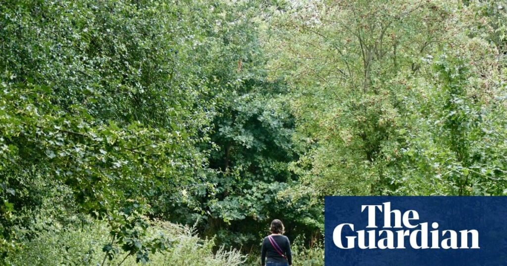 Die menschliche Verbindung zur Natur ist in 200 Jahren um 60% gesunken, stellt die Studie fest