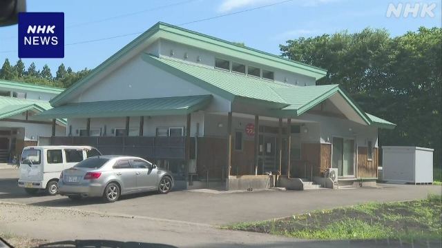 Wildbärenbegegnung werden in Japan fortgesetzt
