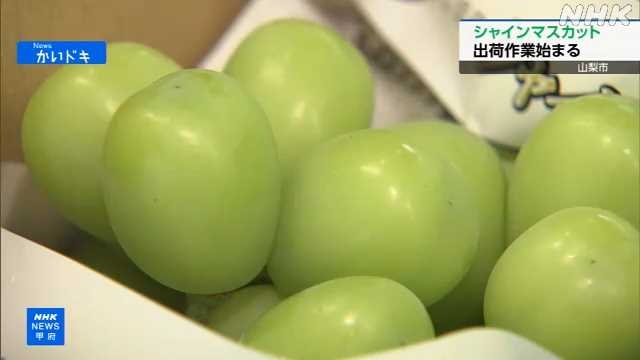 Premium -Trauben Versand aus Zentraljapan