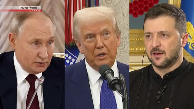 Trump, um das Treffen von Zelenskyy und Putin einzurichten