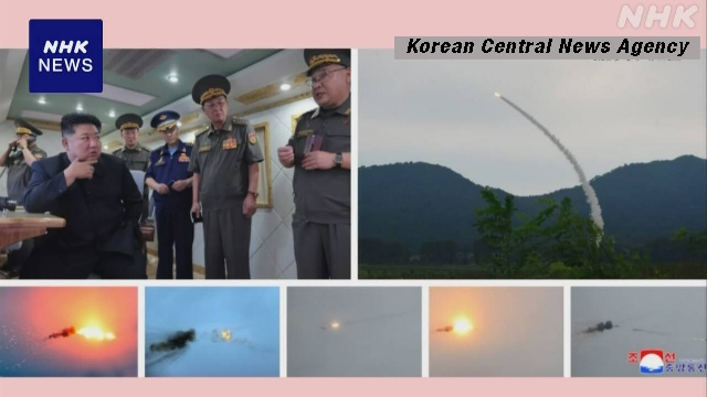 N. Korea berichtet 2 Arten neuer, verbesserter Luftverteidigungsraketen