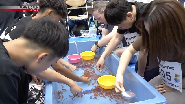 Goldfish Scoopers testen Fähigkeiten im Wettbewerb in Westjapan