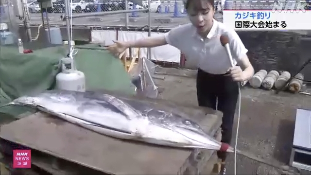 Japanisch, ausländische Angler steigen auf Ibaraki zum Marlin -Turnier ab