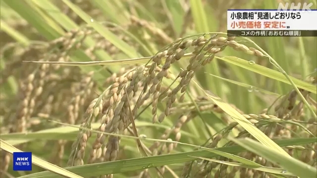 Japans Landwirtschaftsminister sagt voraus, dass die Reispreise stabilisieren werden