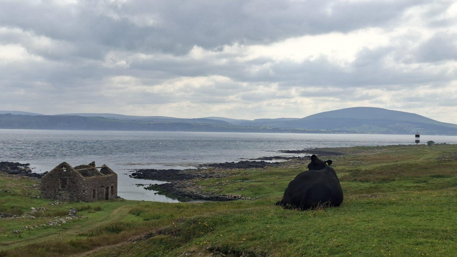 Rathlin Island, schöner Ort.