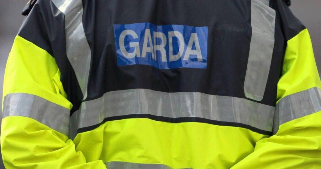 Irland mit einer „zunehmend vielfältigeren Auswahl an Drohungen“ warnt der Garda -Sicherheitsdienst, warn
