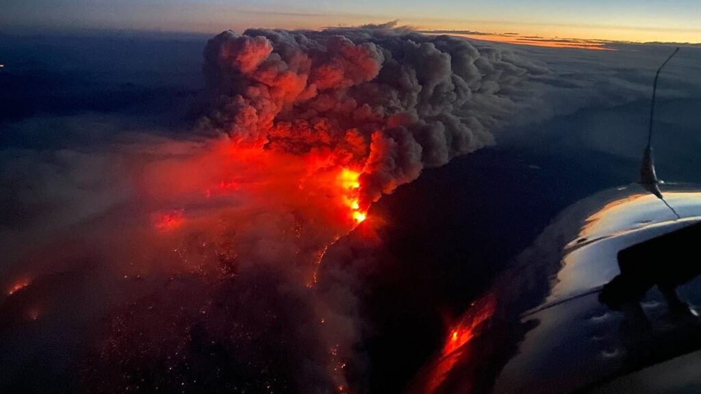 Die Industrie verwaltete Wälder, die eher Megafire befeuern-die Wahrscheinlichkeit, dass ein waldreiches Waldbrand mit hohem Wert auf eineinhalb Mal auf industriellem privatem Land höher war als auf öffentlichen Wäldern, ergab eine neue Studie.