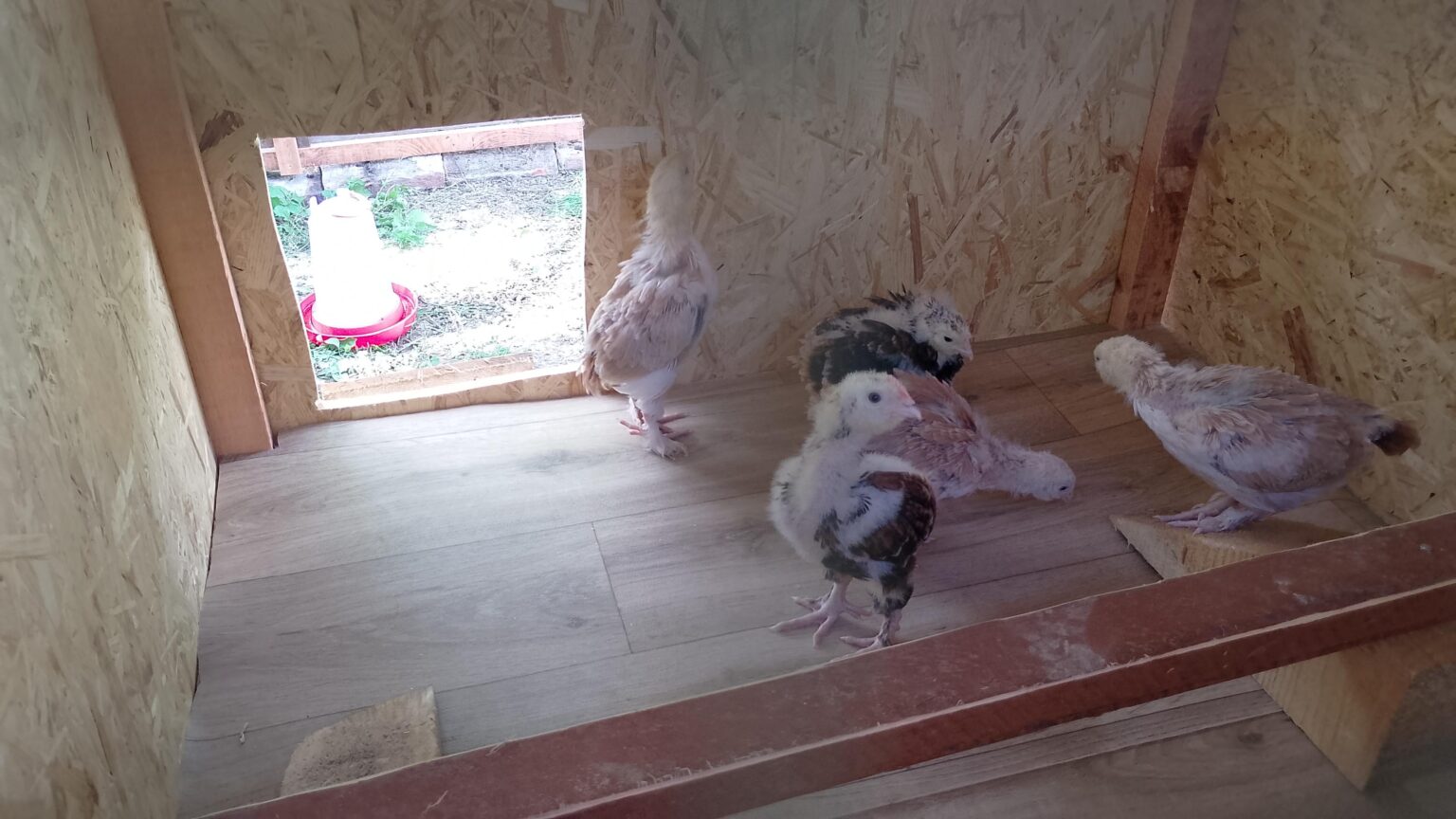 Neues Gebäude 1 + KK 1m² + Garten 4m², wie viel sollte ich mit ihrer Miete und Kaution schießen? Und ist es gut, Jugendliche überhaupt mit Mitbewohnern zu bringen?