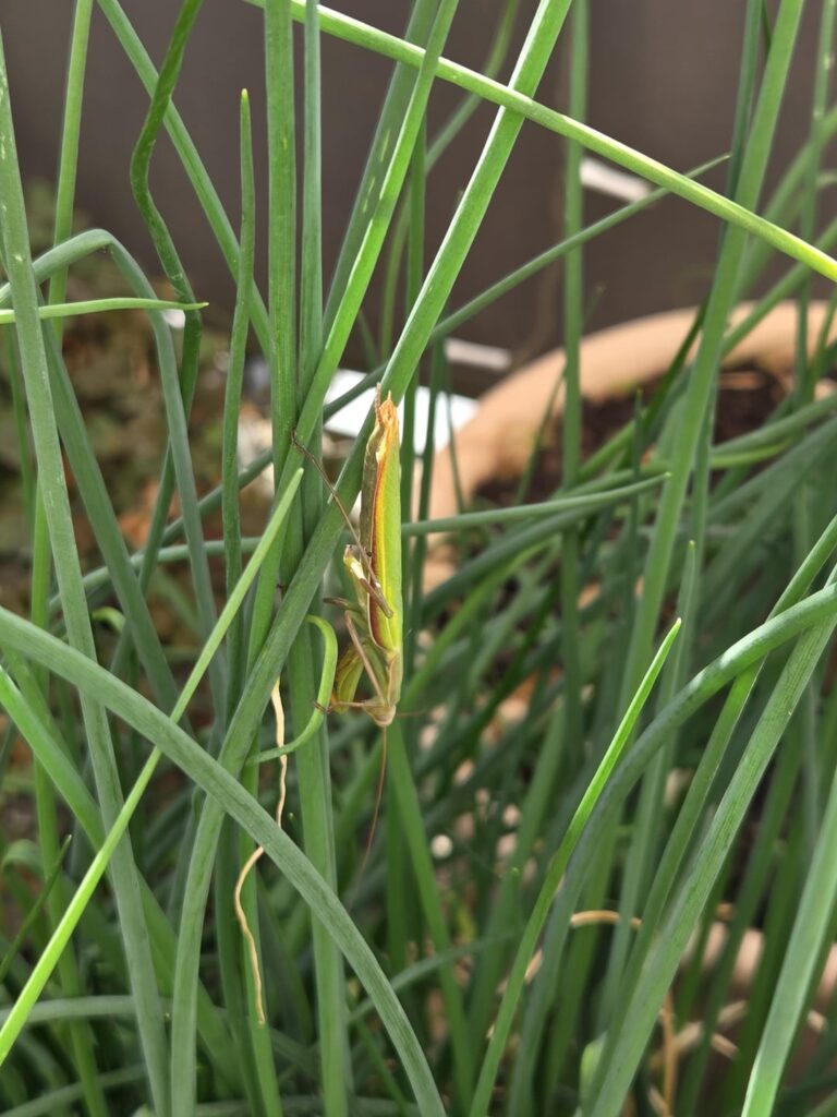 Besonderer Besuch