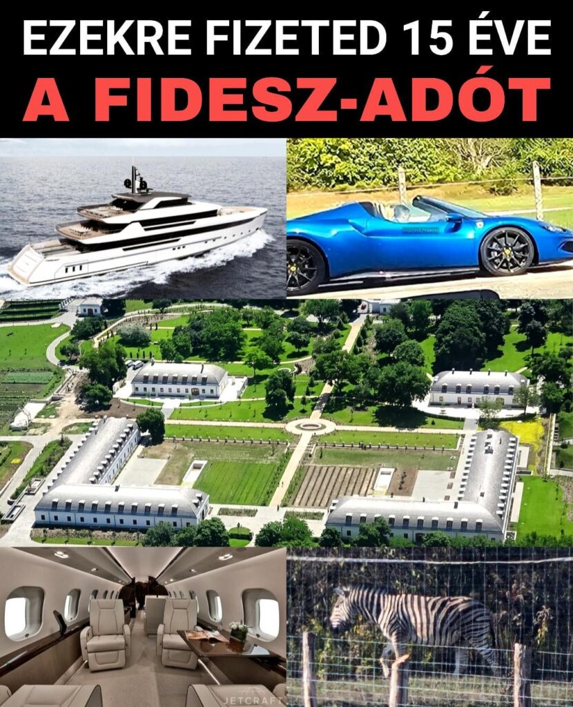 Sie schreien mit Tisza -Steuer, während sie über gestohlene öffentliche Geld lachen