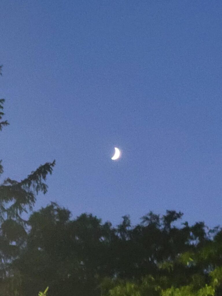 Bilder, die ich vom Mond bekommen habe !!
