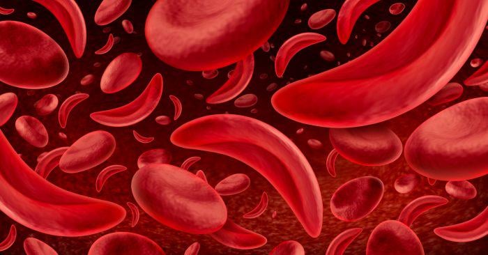 Die Studie zeigt, dass das Entfernen von Methylgruppen aus DNA die Gene wieder einschalten kann, was bestätigt, dass Methylierung direkt für die Gen -Stummschaltung verantwortlich ist