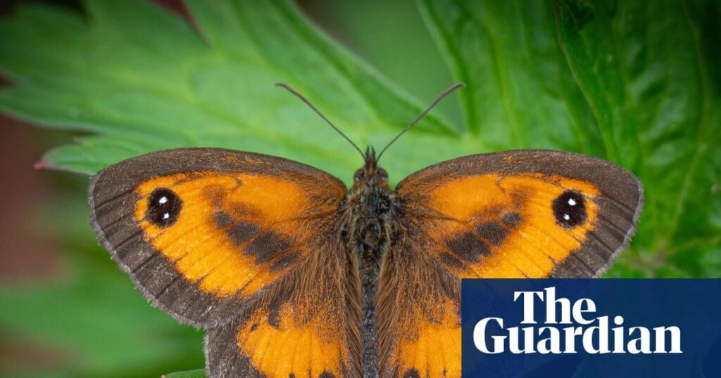 Luftverschmutzungsfilter helfen Wissenschaftlern, die erste britische Wildtierumfrage mit Edna zu produzieren