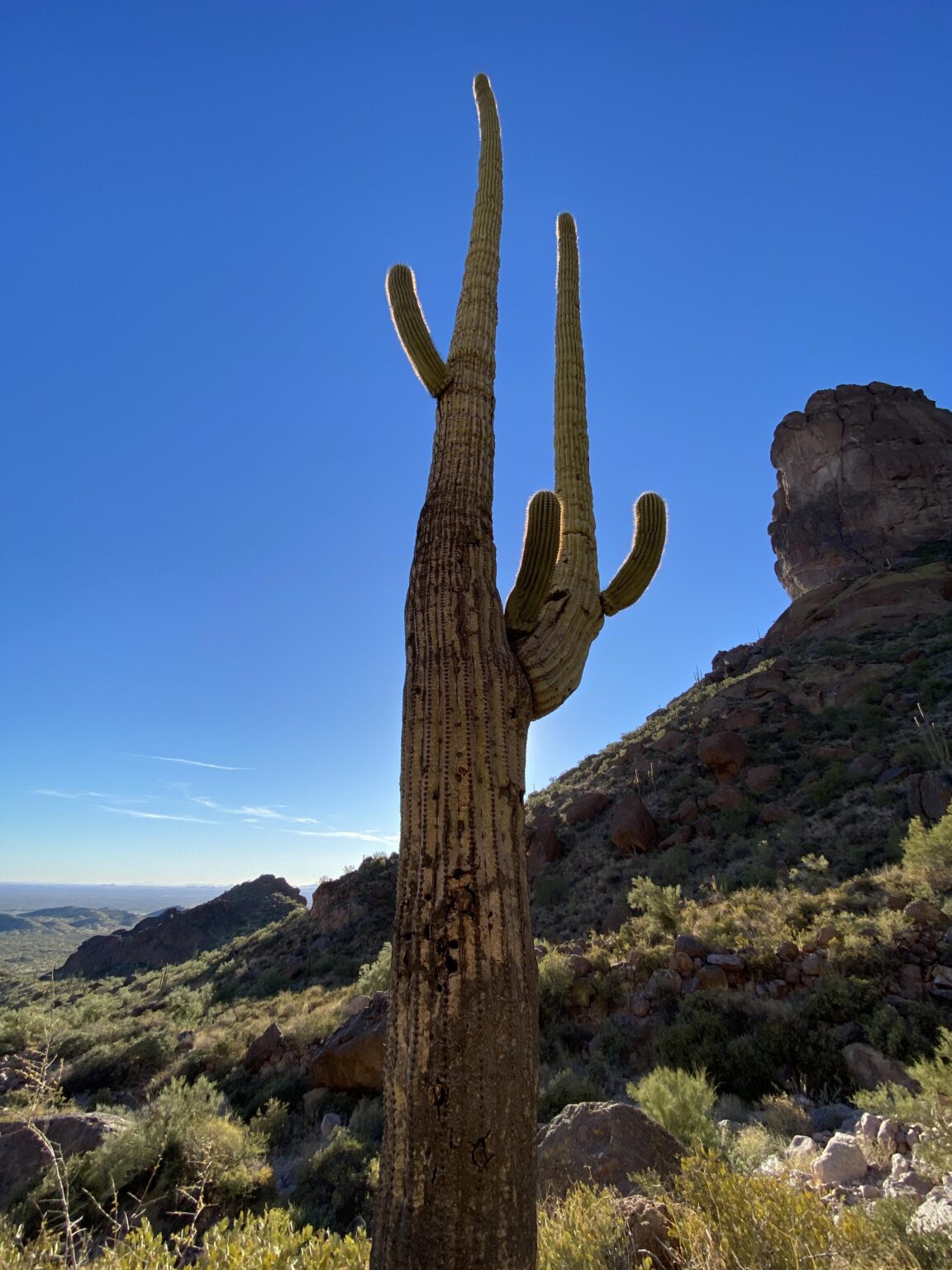 Phoenix, AZ Wandern