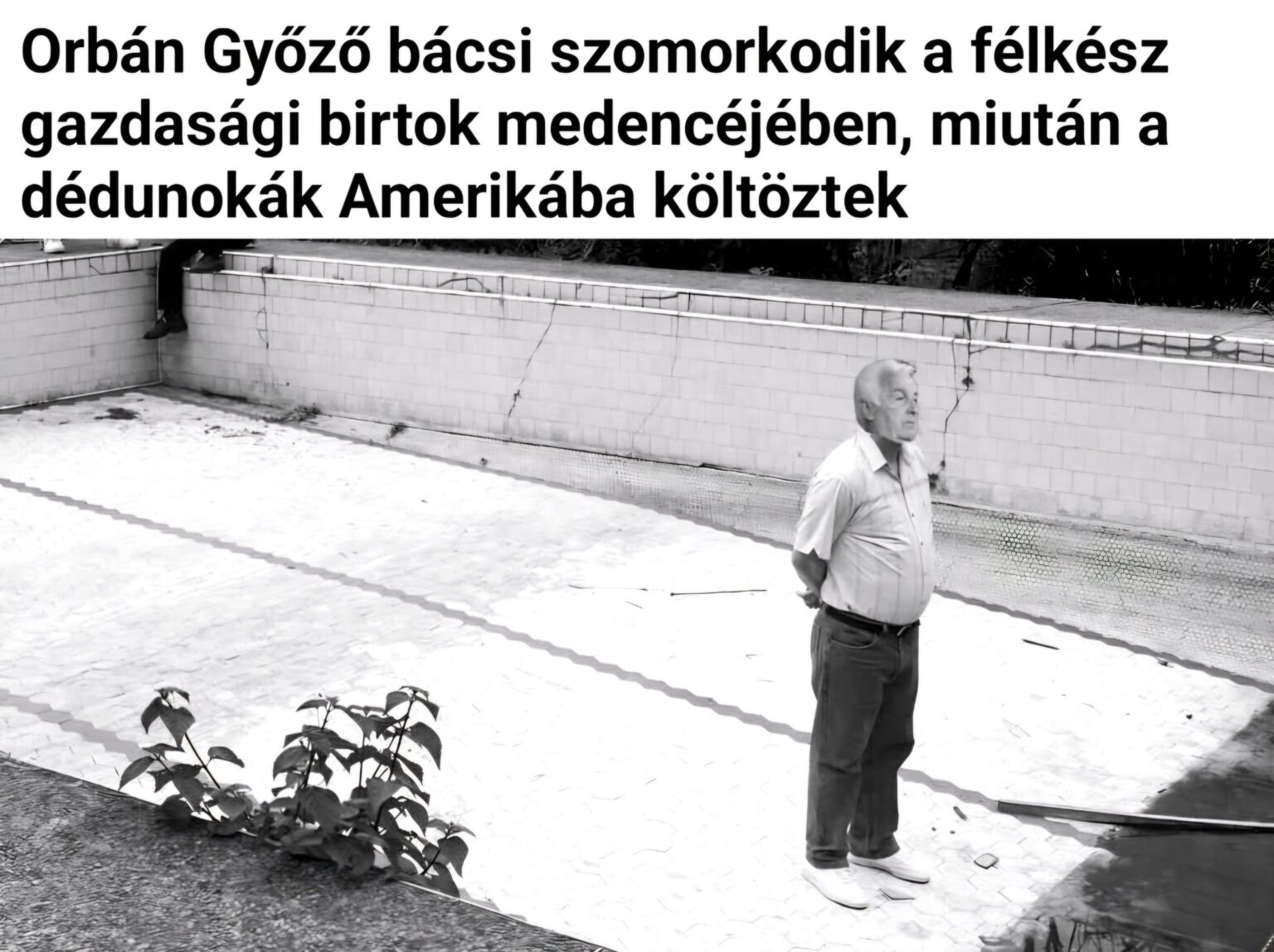 Aber er baute es direkt für sie