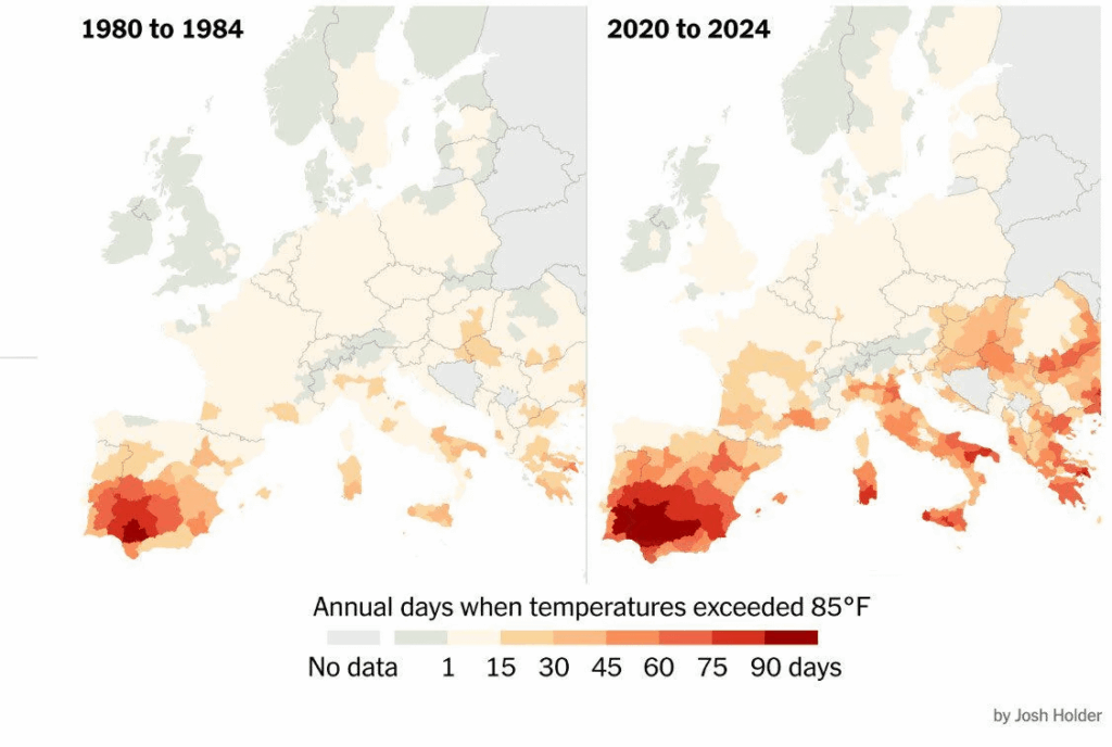 Bald: Olivenöl Olivenöl, Feigen, die wir bereits haben - Tage mit über 30 Grad Celsius im Jahr 1980 und heute