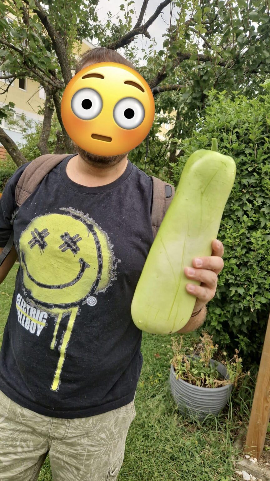Habe Samen einer Chayote angepflanzt aber das bekommen. Laut gpt ist das ein Flaschenkürbis