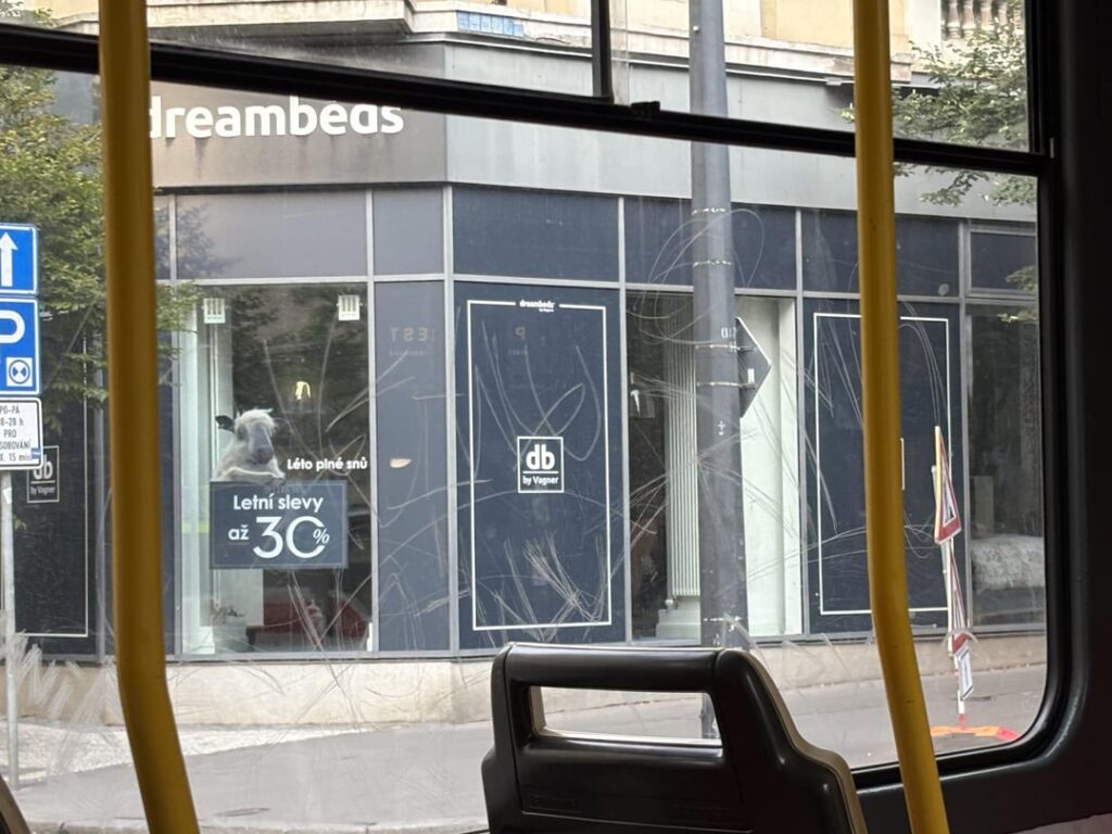 Warum werden öffentliche Verkehrsfenster in Prag so zerkratzt?