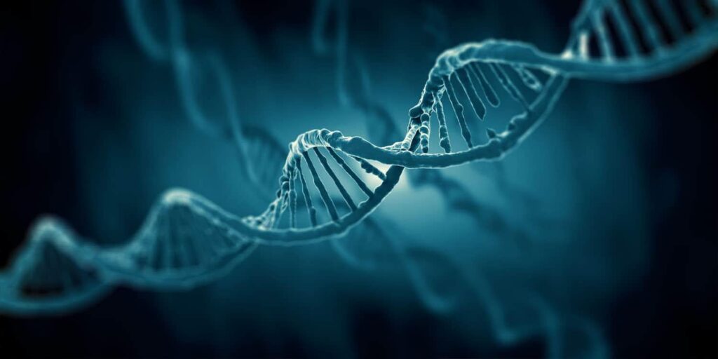 Die Genetik beeinflusst die anhaltende Angst bei jungen Erwachsenen nachdrücklich, wie eine neue Twin -Studie. Die Ergebnisse zeigen, dass rund 60% der Angststabilität im Alter von 23 bis 26 Jahren durch die Genetik erklärt werden können. Umwelterlebnisse scheinen eine größere Rolle bei kurzfristigen Höhen und Tiefen der Angst im Laufe der Zeit zu spielen.