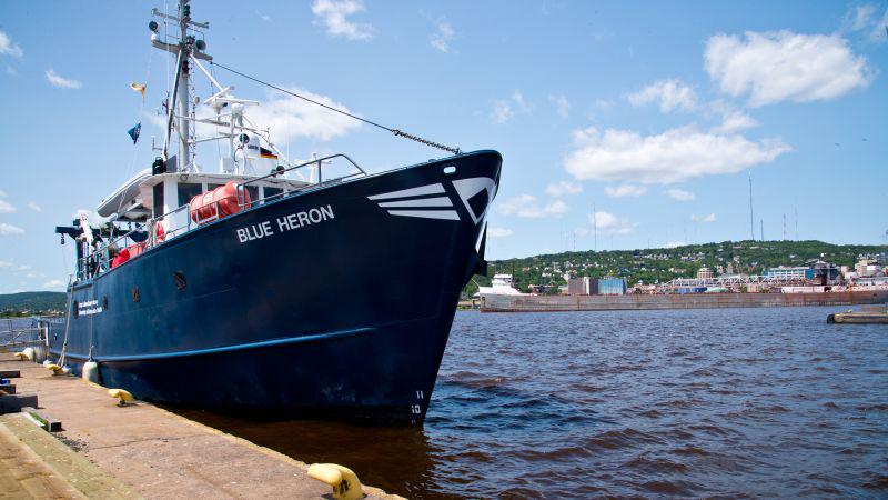 Ein schwarzer Gänsehaut suchte von einem Schiff auf den Großen Seen - und strotzte vor dem Leben