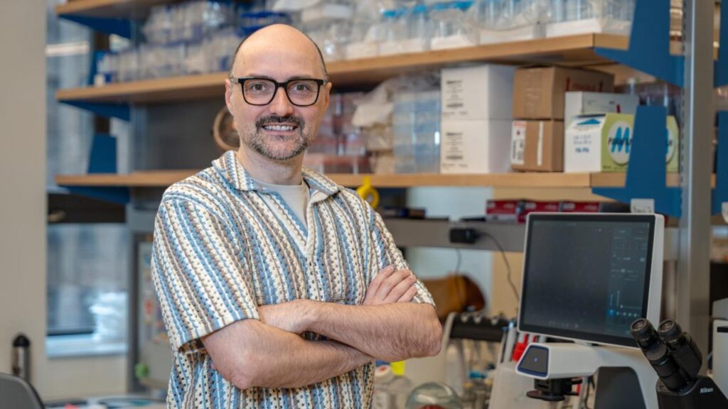 Ein paar Dutzend Menschen auf der Welt haben eine seltene genetische Mutation, die ihnen die Fähigkeit gibt, alle Viren abzuwehren. Ein von dieser Inspiration inspiriertes mRNA-basiertes Antiviral verhindert die Virusreplikation bei Hamstern/ Mäusen, und Wissenschaftler müssen noch ein Virus gefunden, das seine Abwehrkräfte in der Zellkultur durchbrechen kann.