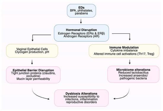Der Einfluss endokriner Disruptoren auf das weibliche Genitaltraktmikrobiom: eine narrative Überprüfung