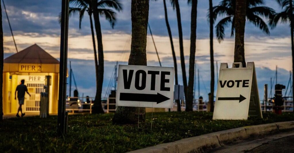 Die Demokratische Partei steht vor einer Wählerregistrierungskrise