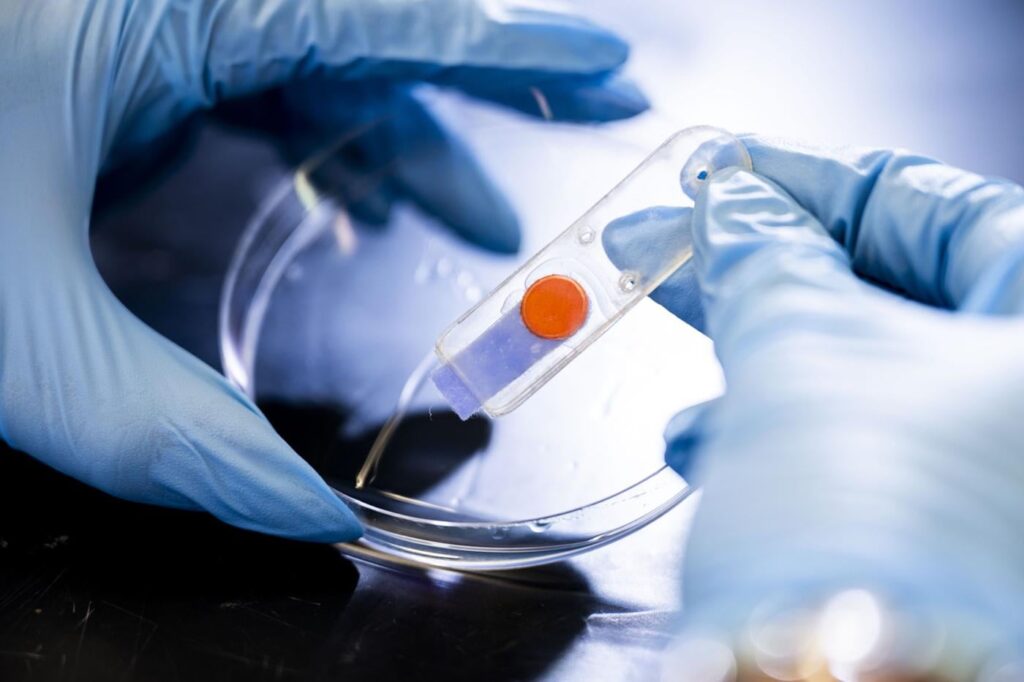 Farbveränderte Sensoren können die Gesundheit der Pflanzen sowohl in Zimmerpflanzen als auch in den Pflanzen überwachen und kleinen Farmen helfen, auf Stress zu reagieren Farbveränderte Sensoren können die Gesundheit der Pflanzen sowohl in Zimmerpflanzen als auch in den Pflanzen überwachen und kleinen Farmen helfen, auf Stress zu reagieren