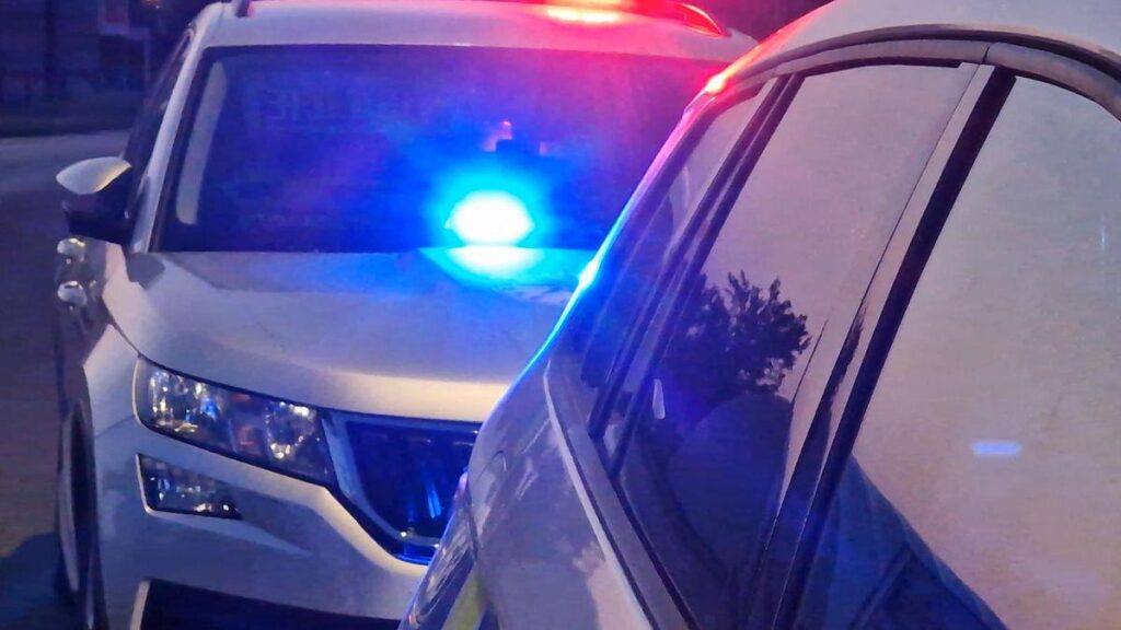Der Konecny Buddy wurde von der Pistole nach Aktivisten geschwollen