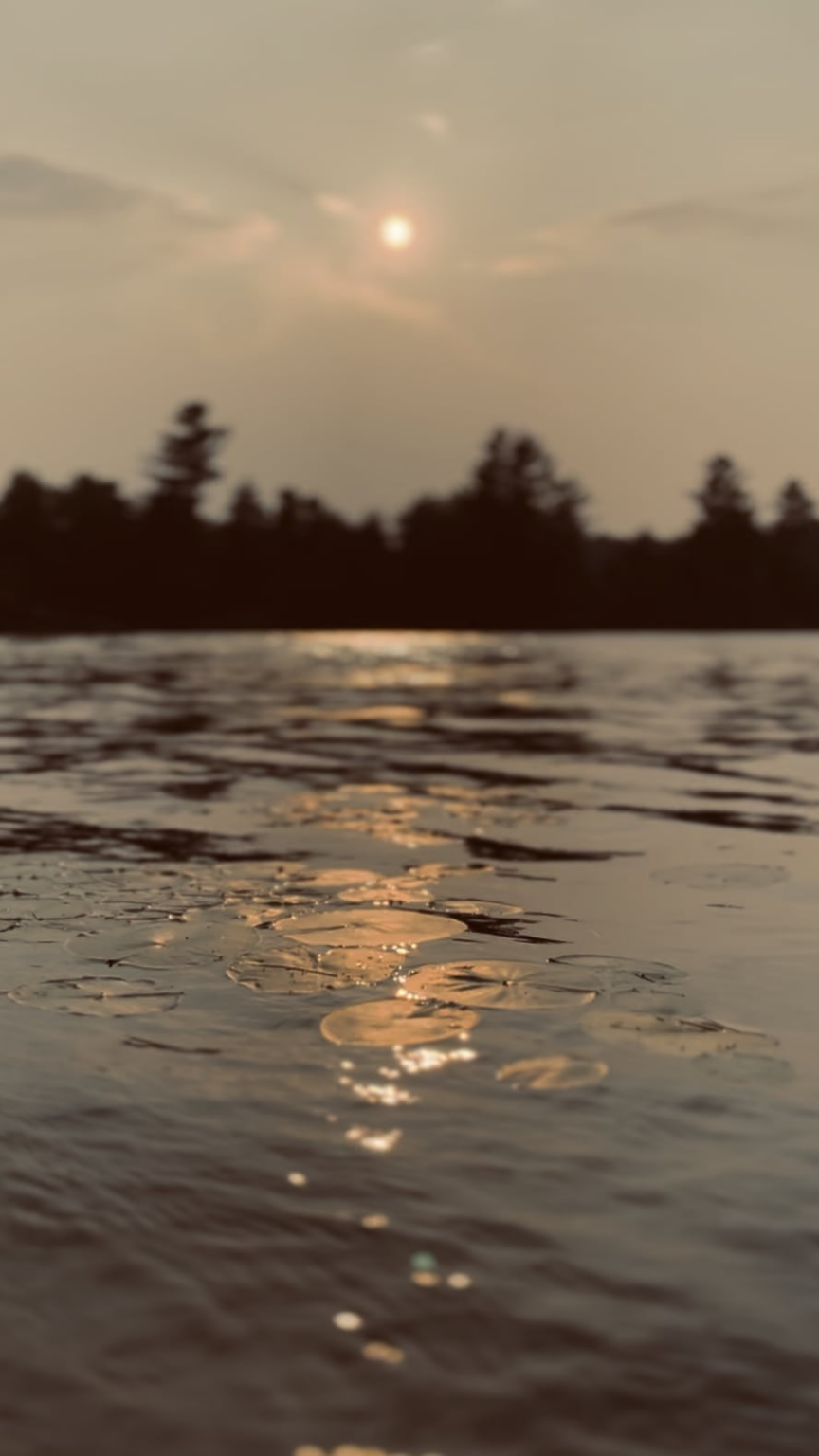 Sommersonne am See