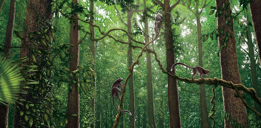 Die globale Erwärmung im paläozän-eozän maximal maximal 56 Millionen Jahre führte dazu, dass Bestäuber nach Norden ausbreiteten, da tropische Pflanzen ihren Bereich erweiterten und die Bestäubung auf Windbasis verringert wurde Die globale Erwärmung im paläozän-eozän maximal maximal 56 Millionen Jahre führte dazu, dass Bestäuber nach Norden ausbreiteten, da tropische Pflanzen ihren Bereich erweiterten und die Bestäubung auf Windbasis verringert wurde