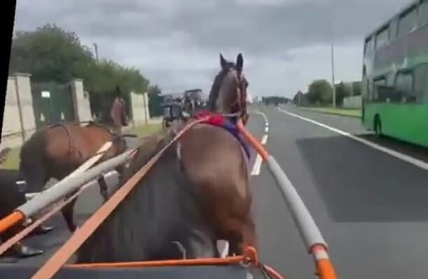 "Schrecklich zu sehen": Empörung über ein Video von Pferd und Falle, die in der Dublin Road gegen das Auto krachen