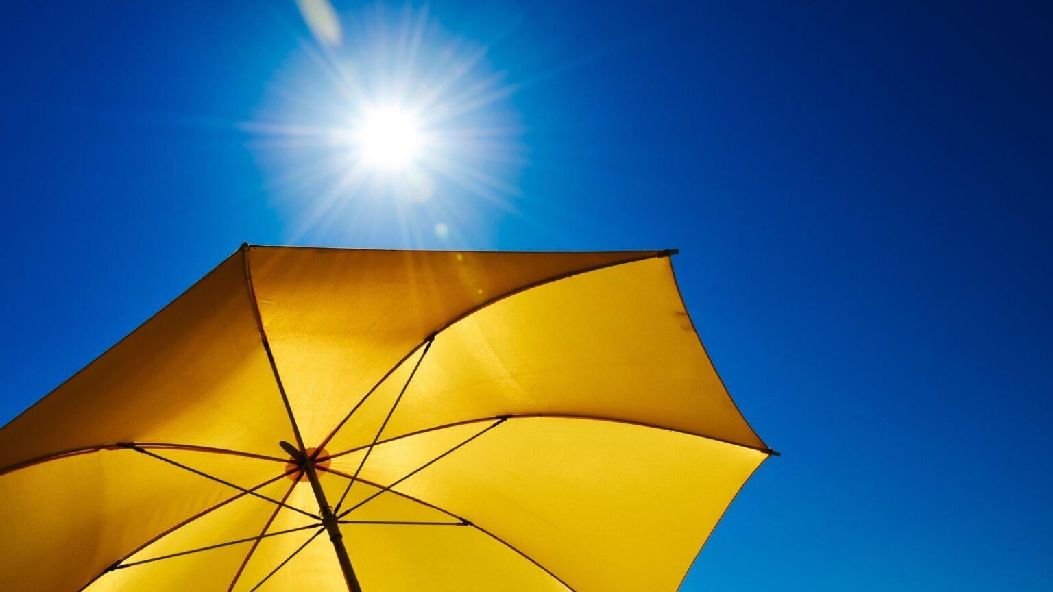 Wärmewellenbedingungen möglich, wenn die Temperaturen steigen werden - RTE -Nachrichten