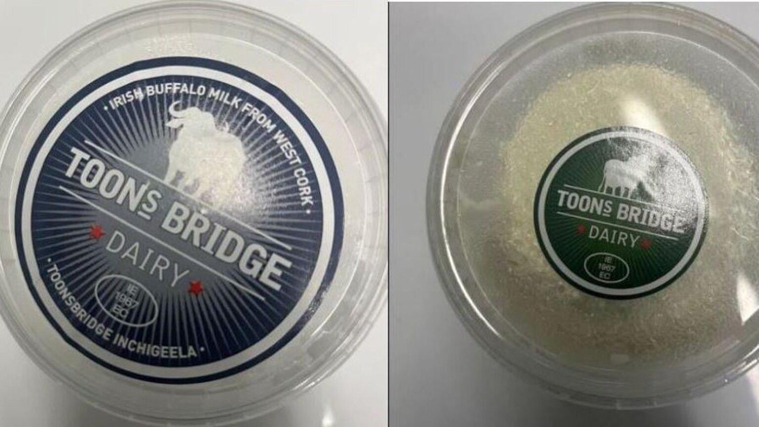 Ricotta und Büffelkäse erinnerten sich aufgrund von Listeria