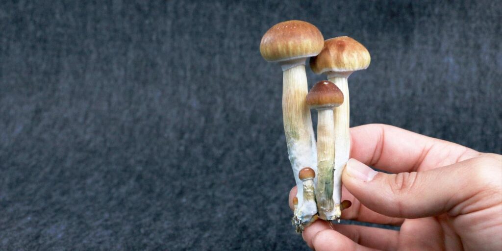 Eine einzelne Psilocybin -Dosis lindert eine dauerhafte Linderung von Depressionen und Angstzuständen bei Krebspatienten