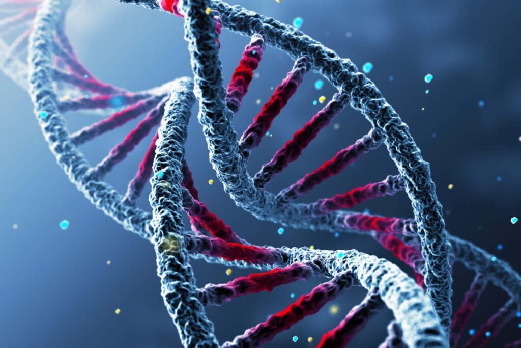 Die wichtigsten genetischen Unterschiede bei Menschen mit chronischem Müdigkeitssyndrom gefunden
