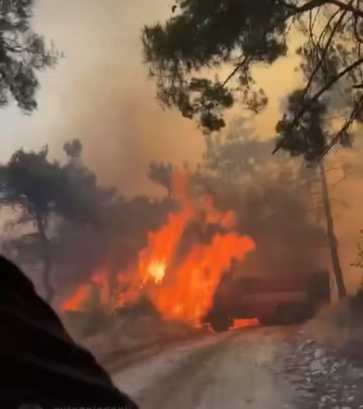 Der Feuerwehrauto in der Mitte der Flammen in Çanakkale brannte.