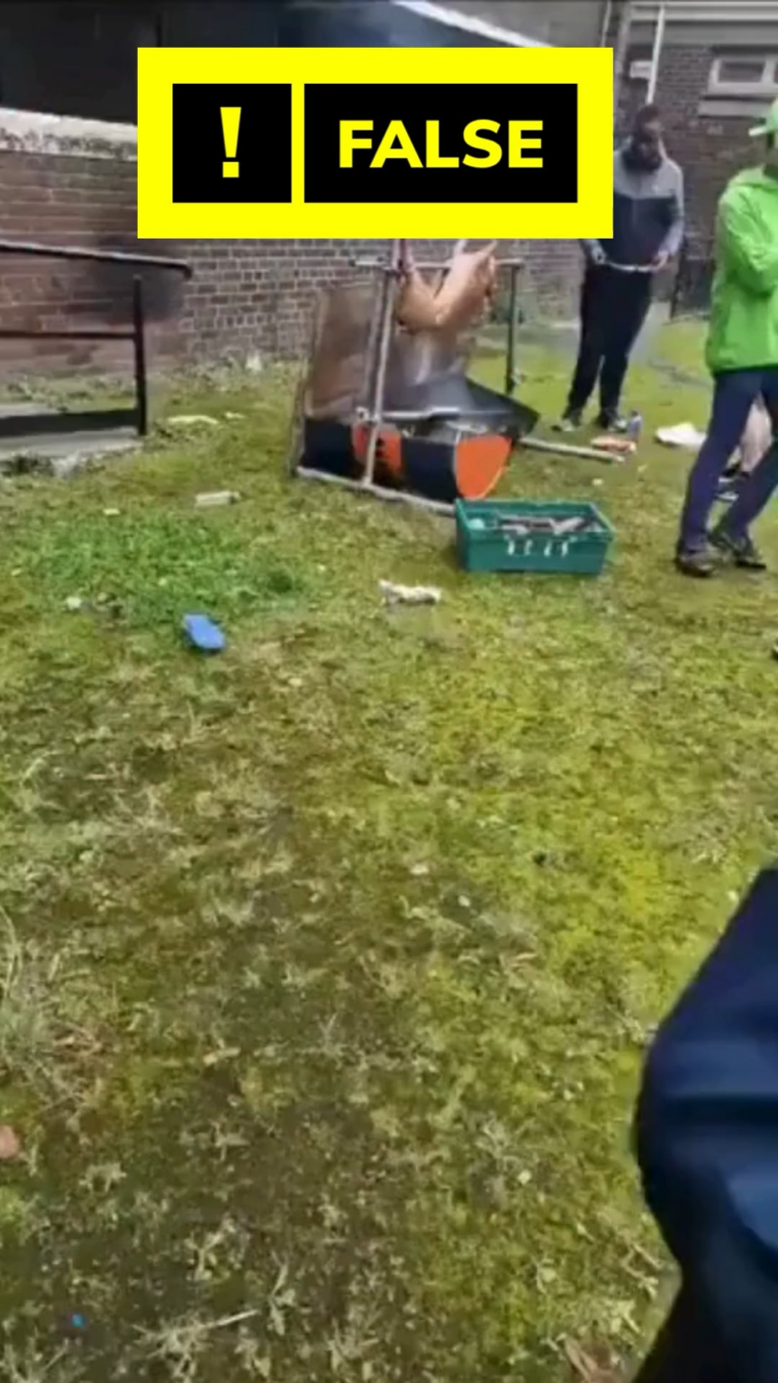 Virales Video, in dem Einwanderer in Dublin gekocht haben, ist falsch – es war ein Schwein in einer Community BBQ Virales Video, in dem Einwanderer in Dublin gekocht haben, ist falsch - es war ein Schwein in einer Community BBQ