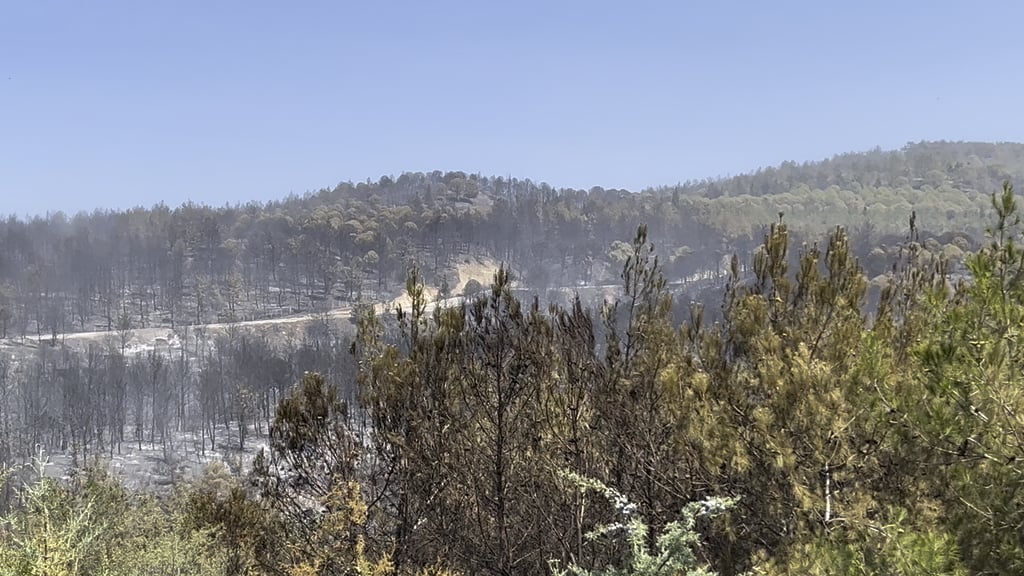 Die endgültige Version des Waldgebiets brennt gestern in Çanakkale