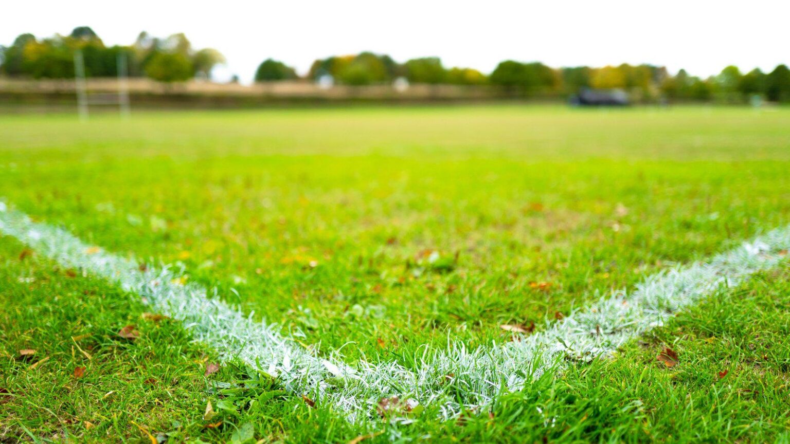 "Unsichere Einstellungen" zu Rugby -Gehirnerschütterungsverletzungen - Studie