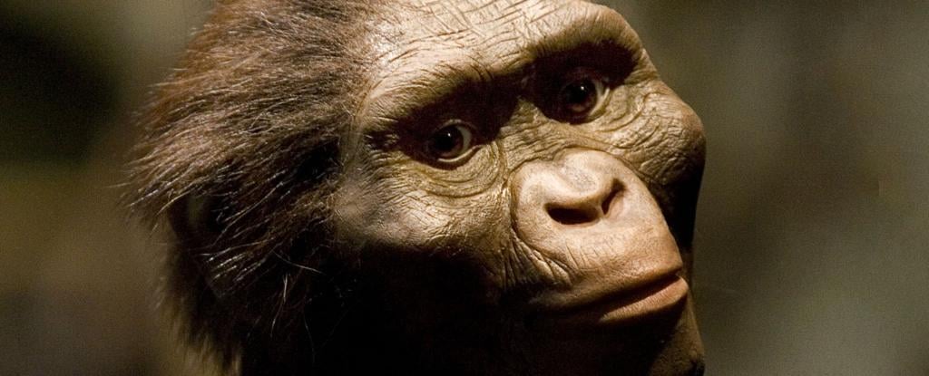 Fossilisierte Zähne vor 2,6 Millionen Jahren enthüllen die Existenz einer alten menschlichen Spezies, die noch nie zuvor gefunden wurde