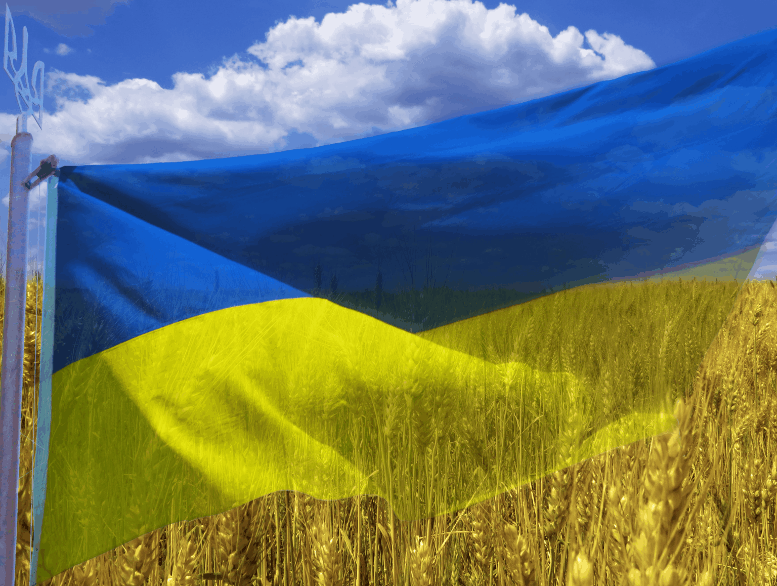 Happy 34. Unabhängigkeitstag, Ukraine !!