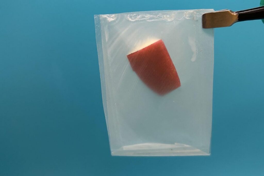 Blatt-inspirierte Bioplastik-Chemieingenieure führen Cellulose-Nanofasern in die Gestaltung eines aus Stärke abgeleiteten Kunststoffs ein und verbessert die Festigkeit und die biologische Abbaubarkeit. Es verfügt über eine geringe Luft- oder Wasserdurchlässigkeit, die die Lebensmittel stabil hält, und eine druckbare Oberfläche, die den Bedarf an separaten Verpackungsetiketten negiert. Blatt-inspirierte Bioplastik-Chemieingenieure führen Cellulose-Nanofasern in die Gestaltung eines aus Stärke abgeleiteten Kunststoffs ein und verbessert die Festigkeit und die biologische Abbaubarkeit. Es verfügt über eine geringe Luft- oder Wasserdurchlässigkeit, die die Lebensmittel stabil hält, und eine druckbare Oberfläche, die den Bedarf an separaten Verpackungsetiketten negiert.