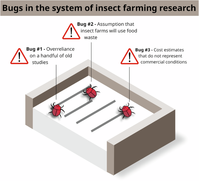Fehler im System: Die Logik der Insektenzuchtforschung wird durch unbegründete Annahmen fehlerhaft